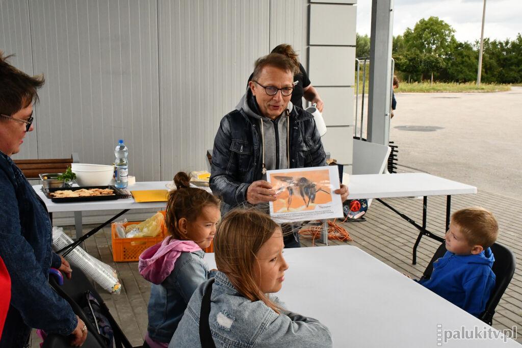 Ekoprzystanek z pszczółkami