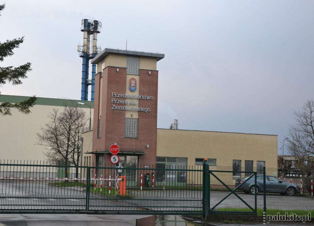 Plantatorzy ziemniaków chcą protestować przed siedzibą krochmalni w Trzemesznie