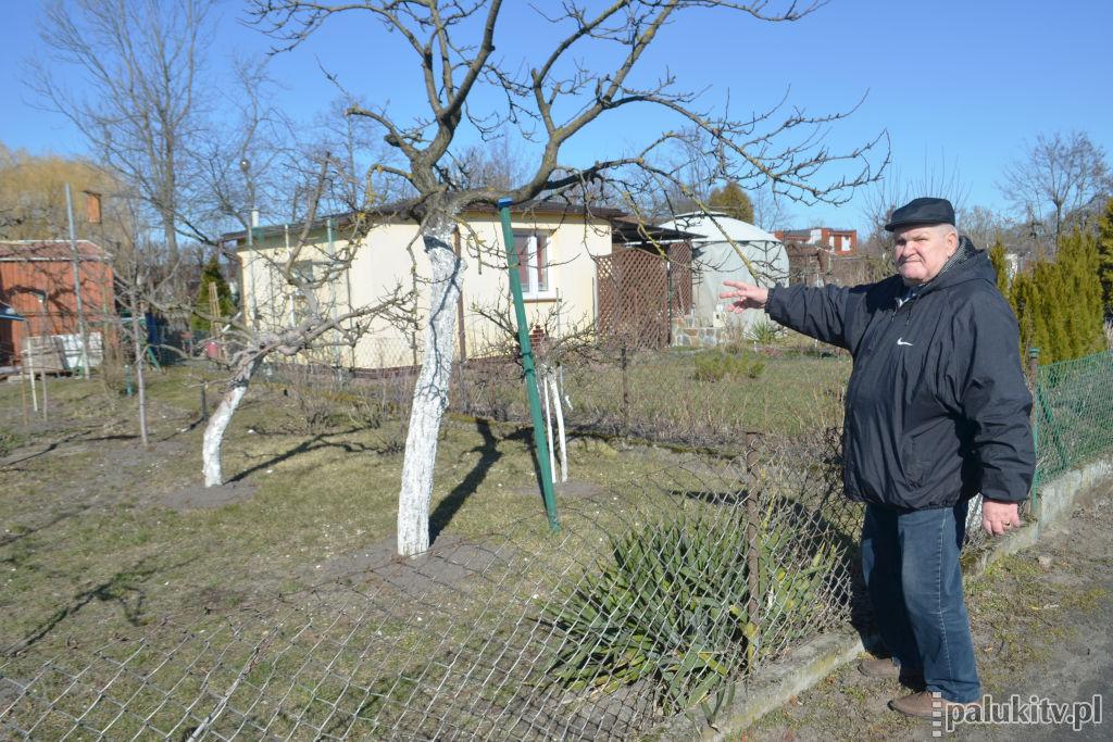 Wiosna zawitała na działkach: jak zadbać o kwiaty, warzywa i drzewa