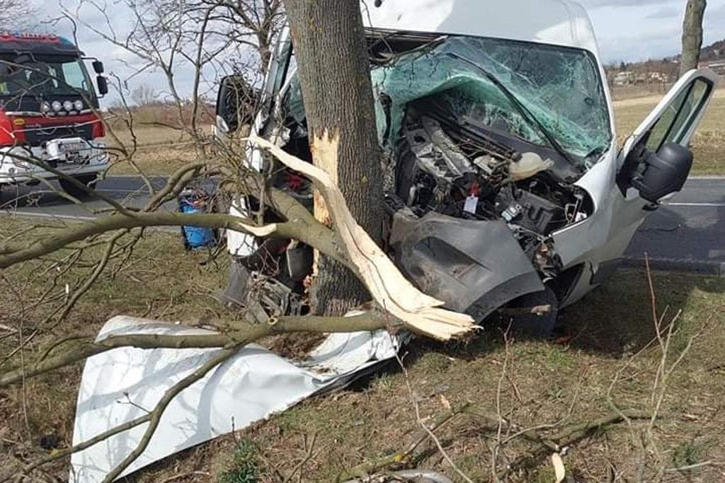 Na obrzeżach Szubina drzewo zatrzymało nietrzeźwego kierowcę
