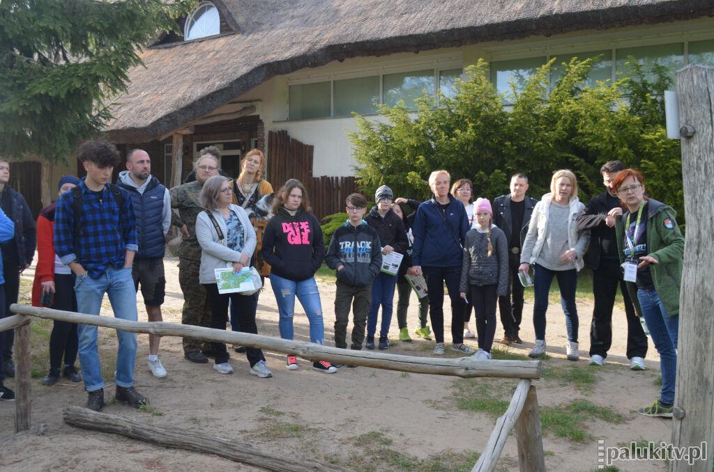 Zwiedzali osadę biskupińską szukając ukrytych niespodzianek. Tajemnicza noc w Muzeum