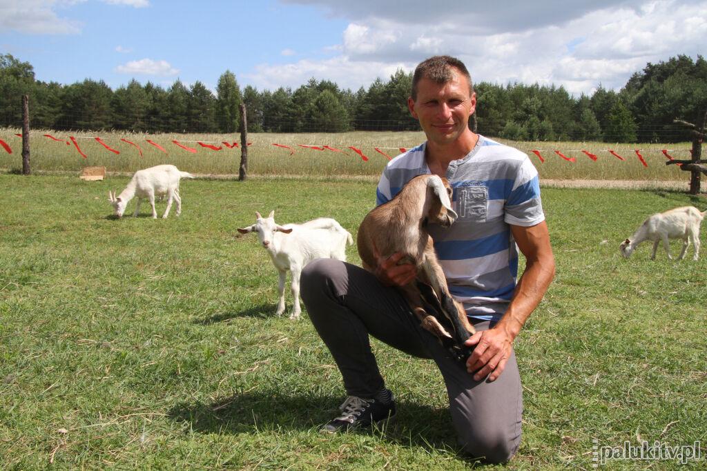 Zagroda w Ojrzanowie pełna kóz i ludzi. Kozi festyn przyciągnął miłośników lokalnych produktów