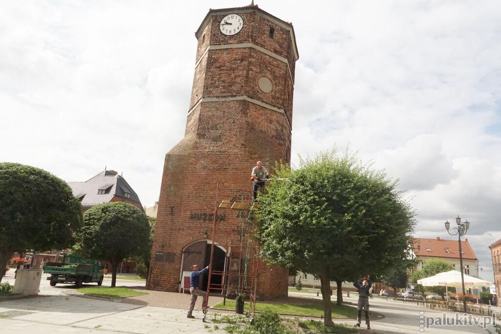 PUK walczy o ostatni bastion zieleni na żnińskim rynku