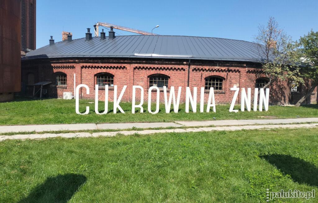 Lato w Żninie z Cukrownią