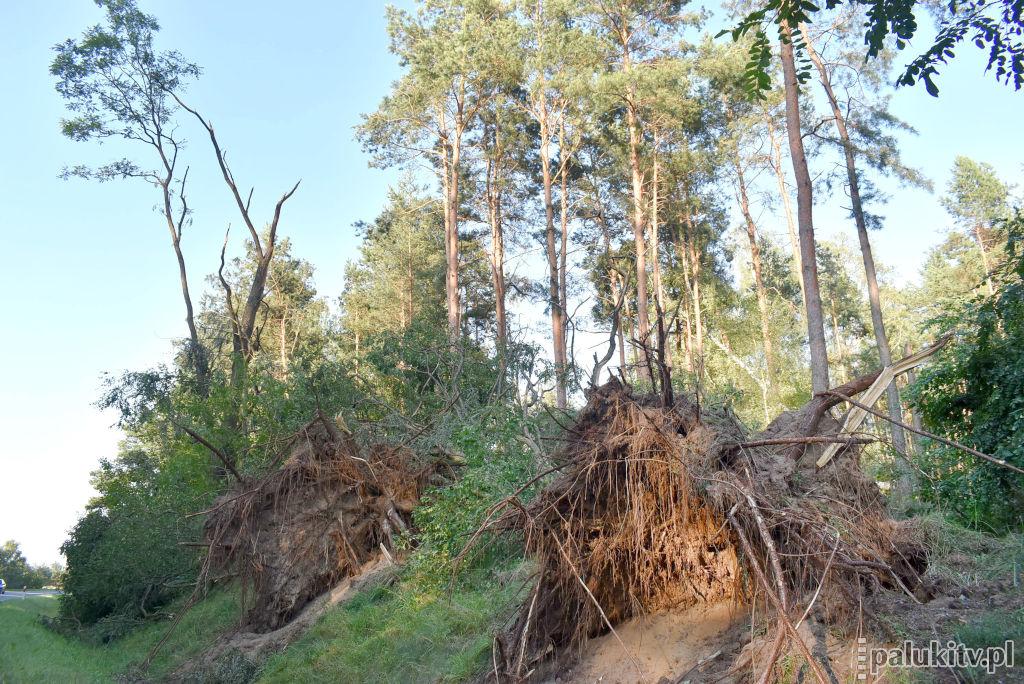 5 lat po wichurze. Huragan uszkodził ponad 300 domów i budynków gospodarczych. Kcynianie pamiętają nawałnicę z 2017 roku