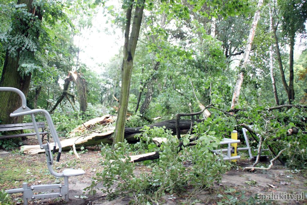 5 lat po wichurze. Nawałnica z sierpnia 2017 roku nie ominęła Janowca Wielkopolskiego. Zniszczyła park, domy i budynki gospodarcze