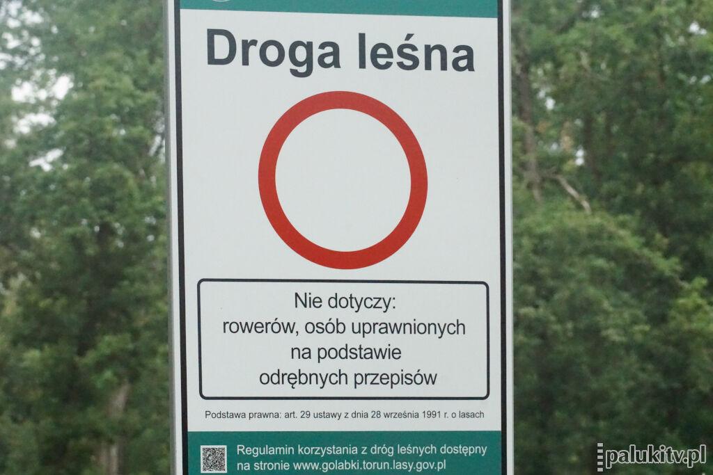 Zamknięte drogi leśne, ale ślub w plenerze możliwy. Wójt Gąsawy dostał pozwolenie na dojazd urzędnika stanu cywilnego do Wiktorowa