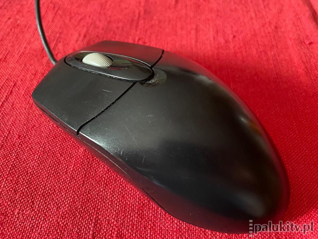 Szukała w internecie miłości, straciła prawie 77 tysięcy zł