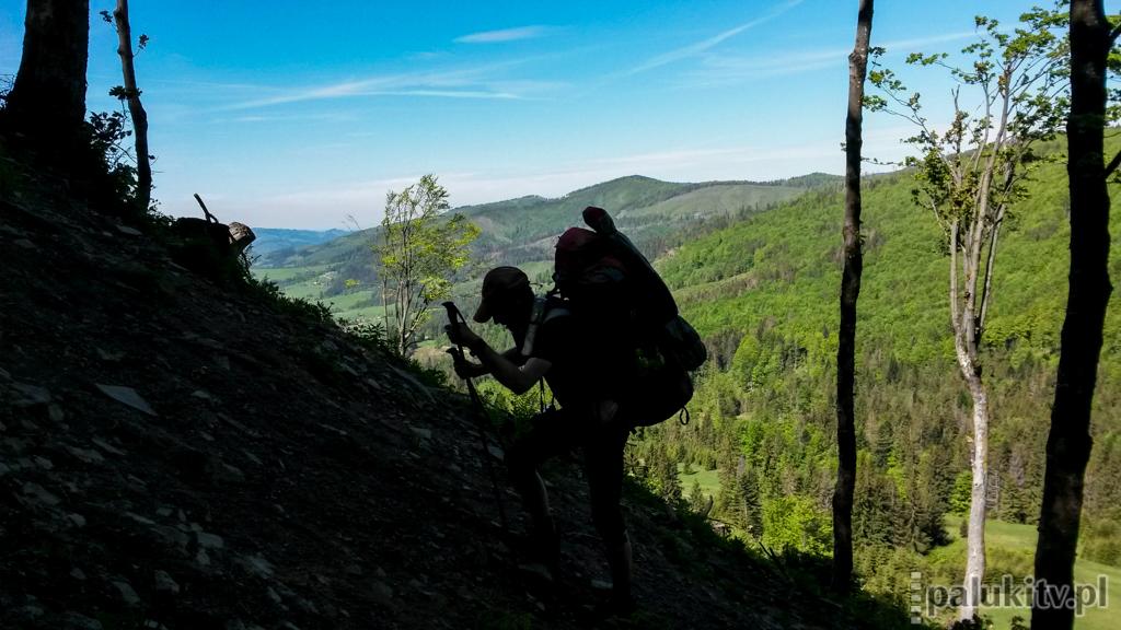 Czego nie jedzą nawet myszy? Recenzja książki 