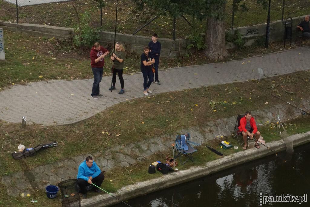 15 ekip z wędkami. Triumf ŚDS w Barcinie, rybka w złotej kuli dla ŚDS w Strzelnie