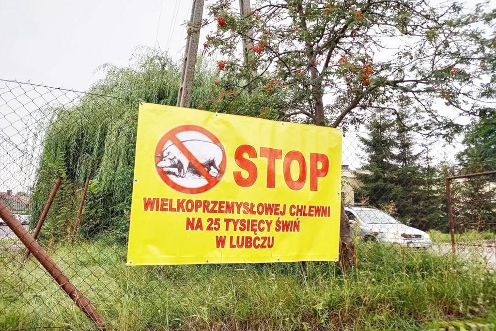 Decyzja wójta w sprawie chlewni w Lubczu pozostaje w mocy. Kontrraport przekonał SKO