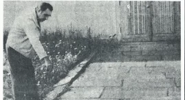 Pozostały tylko maceby