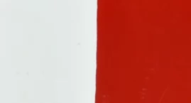 Zakończyli życie w Katyniu