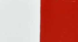 Dąb pamięci dla Mariana Brossa