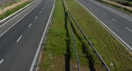 Świnie na płytkach, Polki na betonie