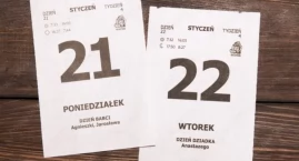 Aby babcia i dziadek nie wpadli w sieci. Jak się chronić przed wyłudzeniami w cyberprzestrzeni