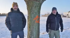 Zarząd Dróg Powiatowych planuje wycinkę 42 drzew pod ścieżkę rowerową relacji Gąsawa-Biskupin