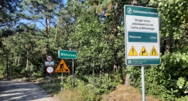 Do końca października nowy asfalt na skraju lasu