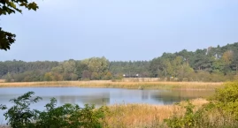 Działki pod okiem prokuratury (5)