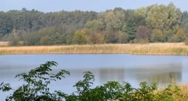 Sprzedana jedna na pięć
