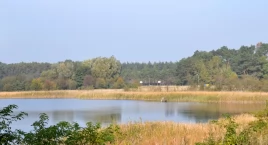 Ostatnie działki idą pod młotek