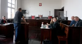 Za masakrę kormoranów spędzą rok w więzieniu - bezwzględnie 