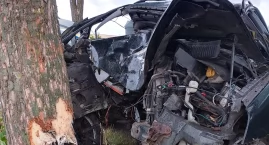 Ford uderzył w drzewo. Poszkodowane 3 osoby, w tym t&hellip;