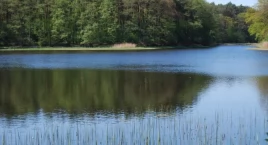Zatrucie na obozie młodych strażaków. Druhowie z Szubina są bezpieczni, zostali na obozie