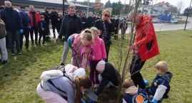 Szóste wiosenne sprzątanie Barcina. Na pamiątkę posadzili dąb