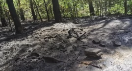 Pożary lasów  w Klotyldowie i Smogorzewie. Spłonęła &hellip;