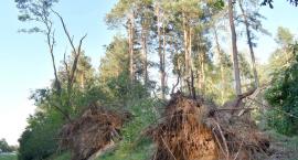 5 lat po wichurze. Huragan uszkodził ponad 300 domów&hellip;