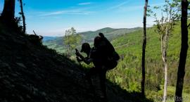 Czego nie jedzą nawet myszy? Recenzja książki 