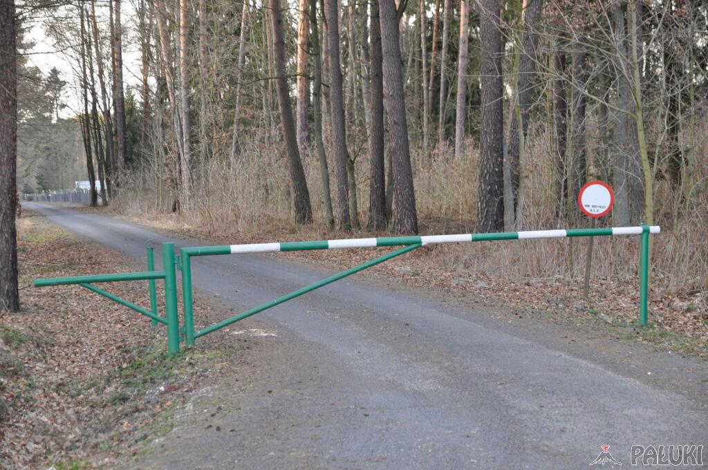 Od 24 maja do 7 czerwca zakaz wstępu do lasu w Nadleśnictwie Miradz