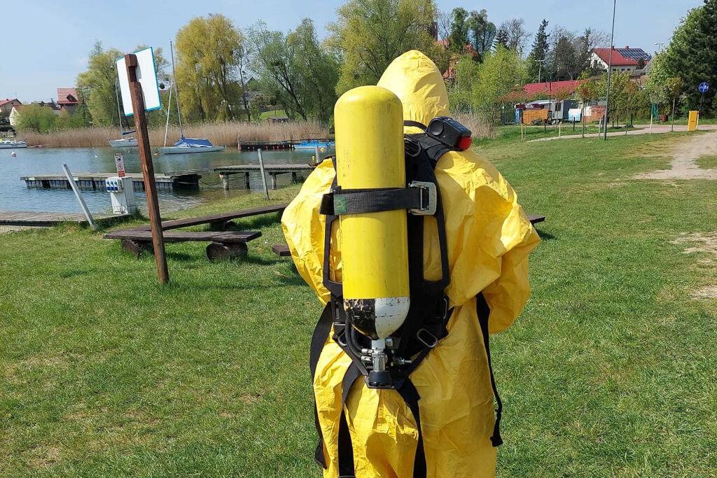 Przyczyna śmierci ponad 200 mew - wirus ptasiej grypy H5N1