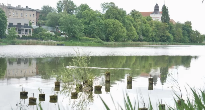 Radny Majcherkiewicz zaniepokojony. Ostre haki wystają z jeziora