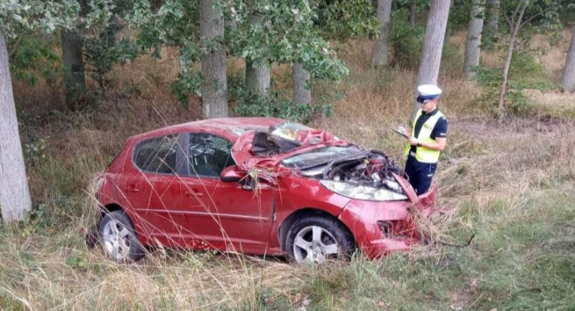 Wpadł w poślizg do przydrożnego rowu i uderzył w drzewo