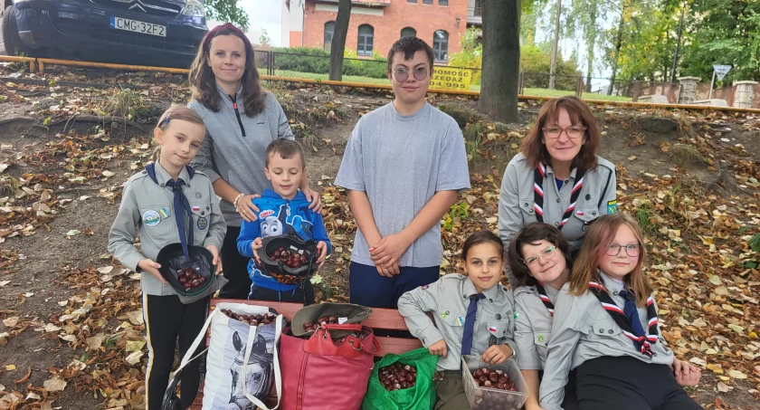 Zbiórka kasztanów dla Kacpra. Każdy może pomóc (zdjęcia)