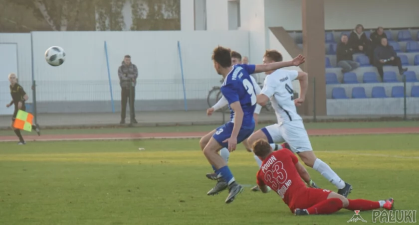 Kanonada strzelecka Pogoni Mogilno z 9 dział
