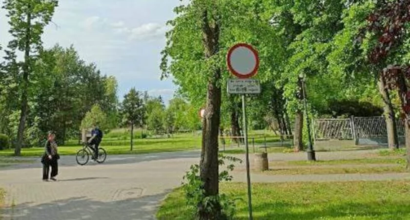 Park w Mogilnie: suche konary lipy zagrożeniem dla mieszkańców