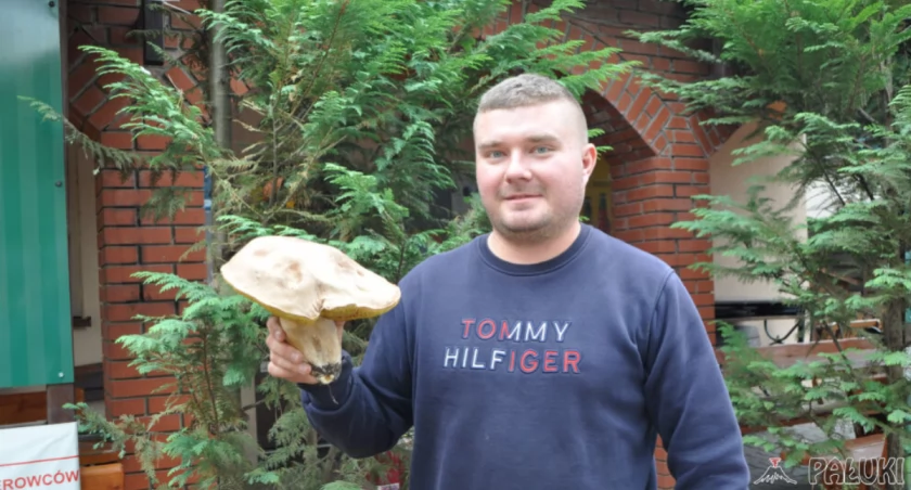 Olbrzymiego prawdziwka znaleźli na działce w Przyjezierzu