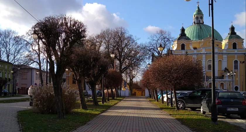 W ramach projektu zadbano o zieleń i pomniki przyrody 