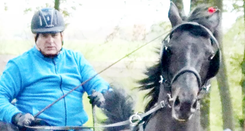 Wytnij z Pałuk kupon i zagłosuj na najpopularniejszego sportowca (12)