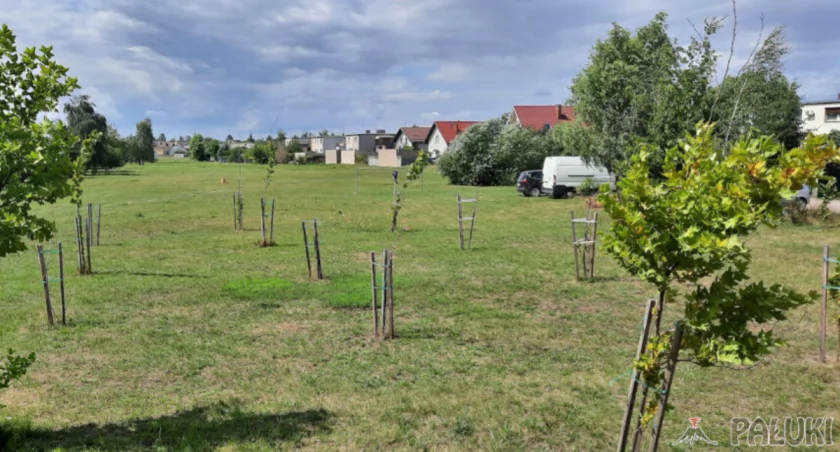 23 stycznia - spotkanie z mieszkańcami osiedla zachodniego w Mogilnie