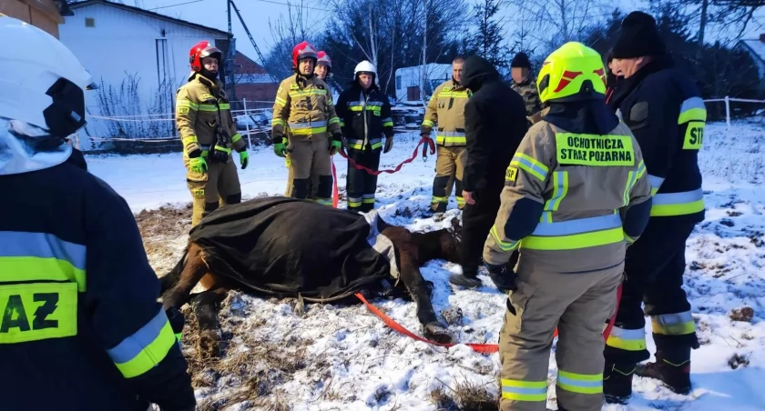 Wyższy ekwiwalent dla jeziorańskich strażaków ochotników