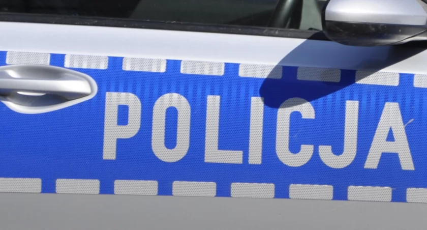 Po dachowaniu w Chabsku usłyszeli policję i w nogi