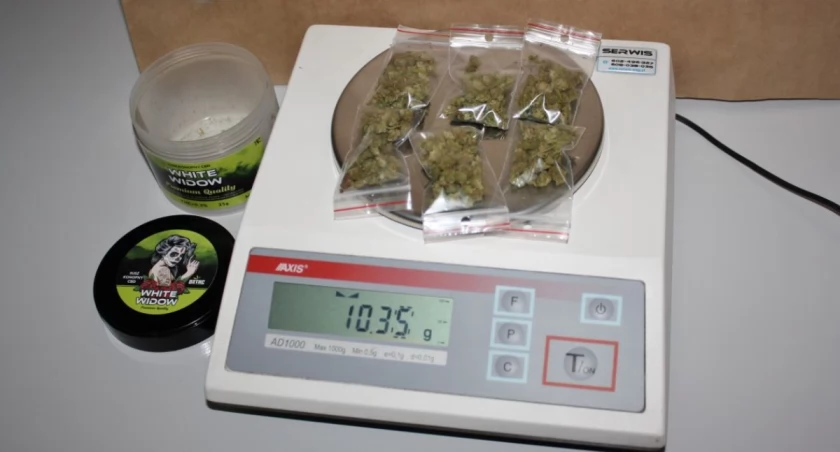 Marihuana i haszysz w domu 43-latka