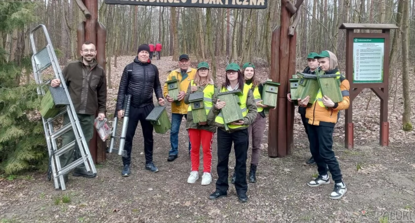 Harcerze wieszali budki lęgowe dla ptaków (zdjęcia)