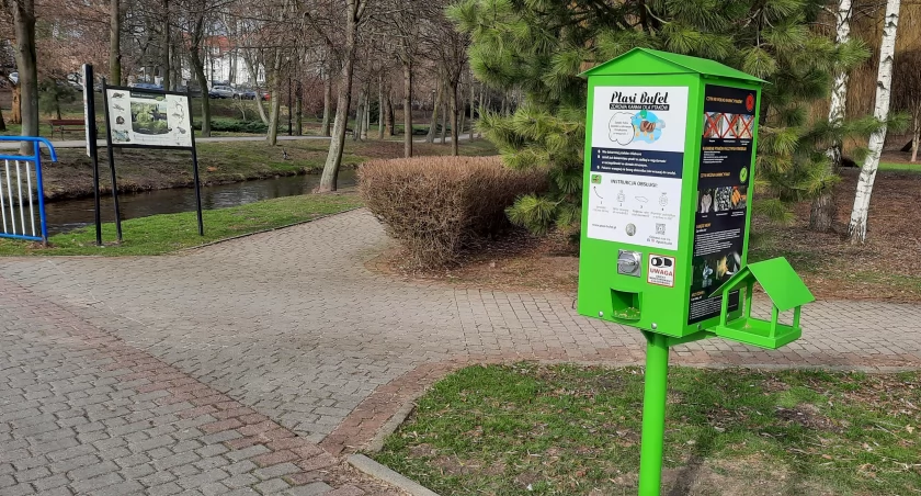 Od dwóch tygodni można dokarmiać ptaki karmą z Ptasiego Bufetu