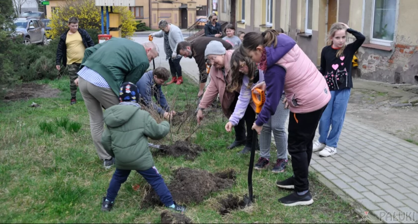 Posadzili alejkę jarzębinową, wykonywali wielkanocne witraże (wideo + zdjęcia)