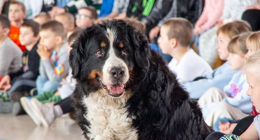 Psie szkolenie w szkole w Dąbrowie (zdjęcia)